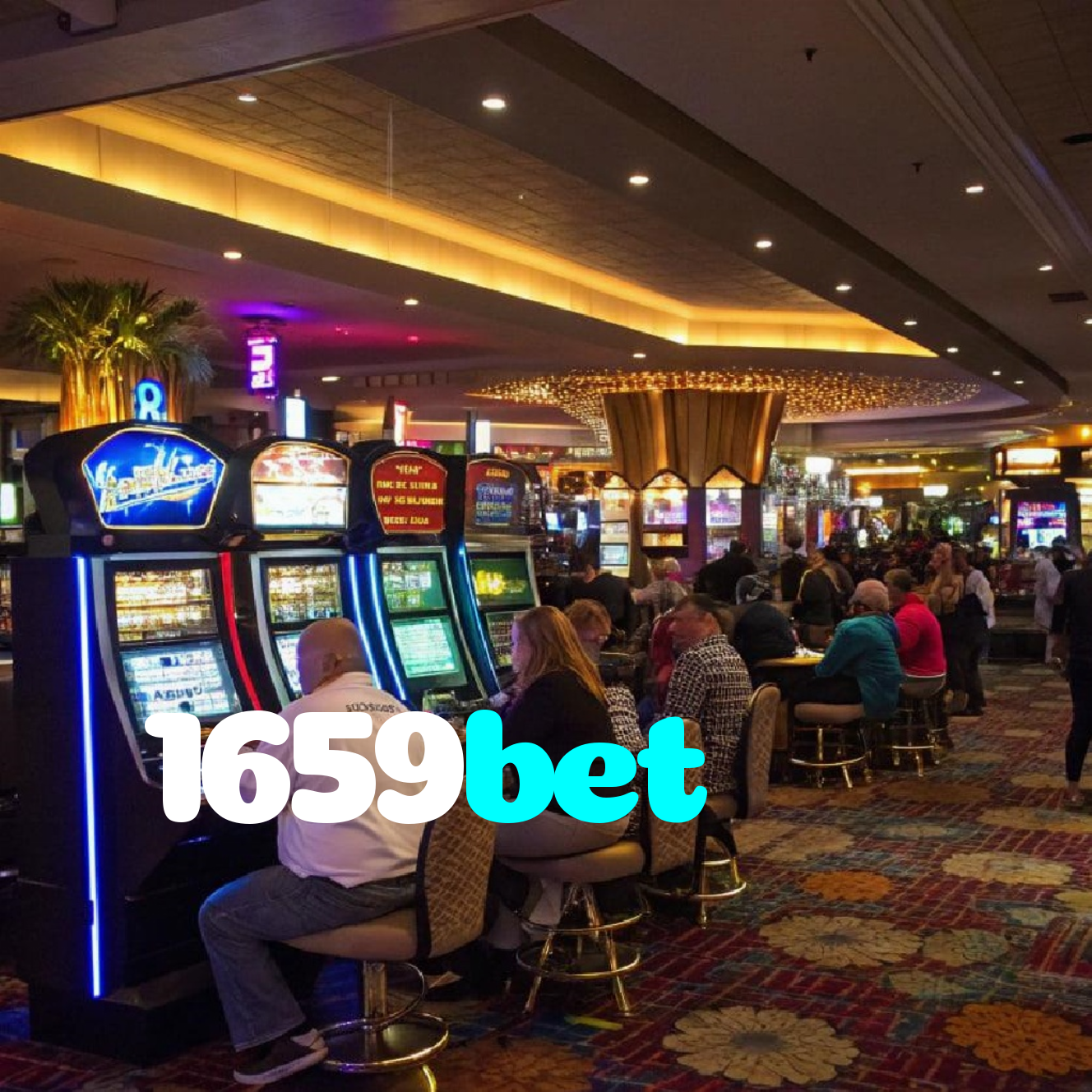 1659bet