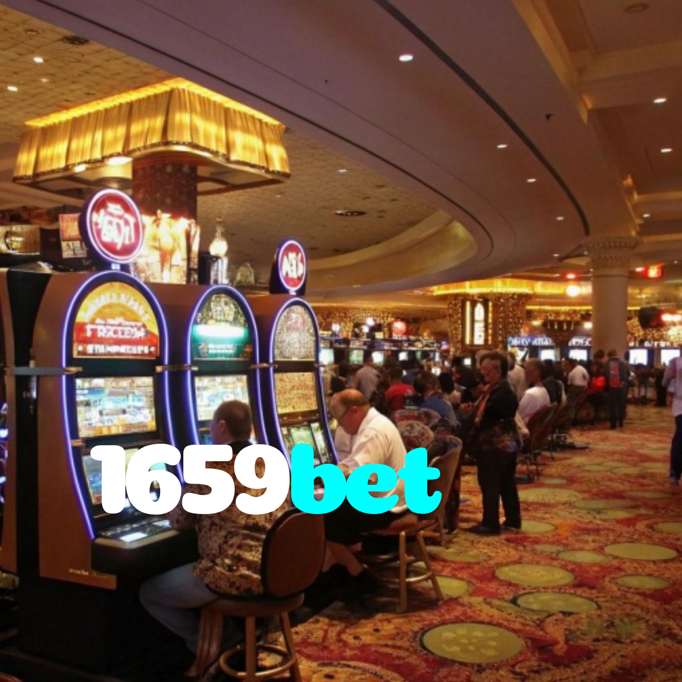 1659bet