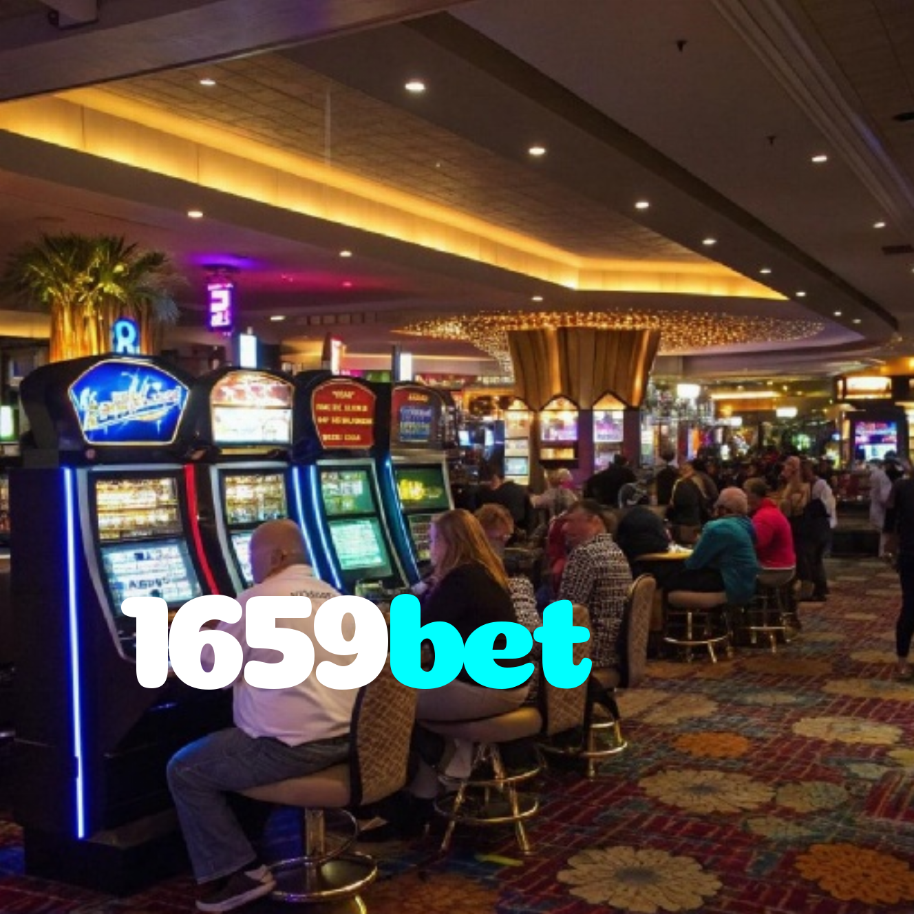 1659bet